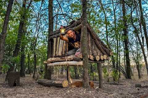 Building a Cozy and Safe Tree Shelter. Survival Skills, Bushcraft