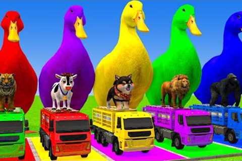 Long Slide Game With Cow Elephant Gorilla Hippopotamus Tiger 3d Animal Game Funny 3d Animals