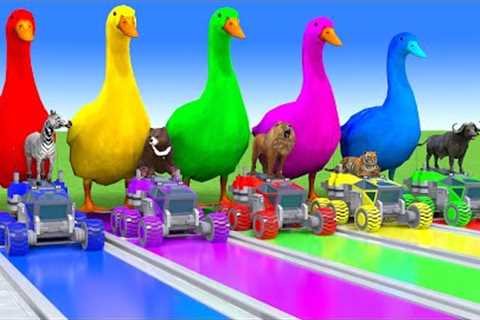 Long Slide Game With Cow Elephant Gorilla Hippopotamus Tiger - 3d Animal Game - Funny 3d Animals