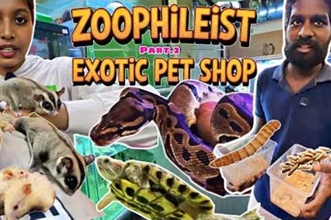 🐾 Zoophilist Exotic Pet in Chennai | Part 2 | Snakes, Sugar Gliders, Hamsters, Monster Fish &amp;..