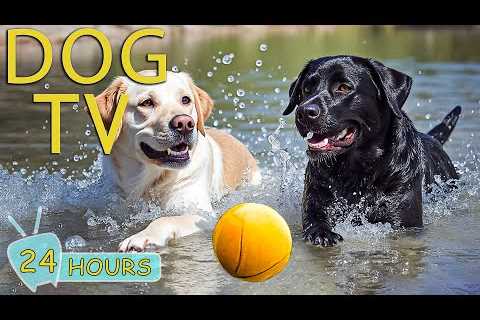 DOG TV: Videos Anti-Anxiety for Dogs When Home Alone All Day Long - Best Relax Music for Dogs