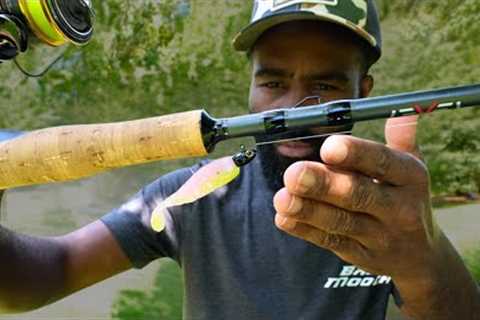 The Truth - Modern Fishing Lure Trends DONT WORK