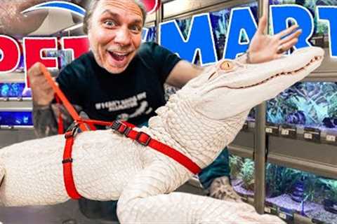 Taking My Albino Alligator Back To Petsmart!