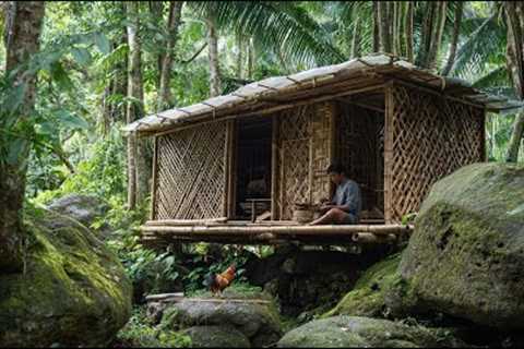 Solo Bushcraft Survival in Jungle - Building a Survival Shelter Over 10 Years - Catch Fish Cooking