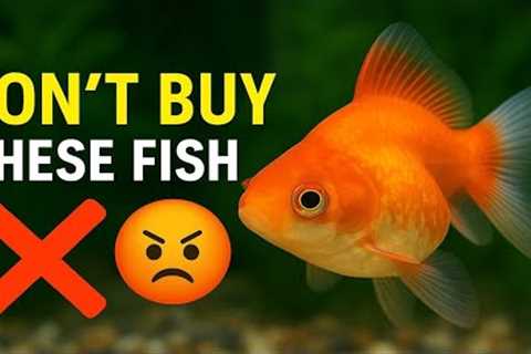 Top 7 Aquarium Fish You’ll Regret Buying |Avoid These Mistakes!