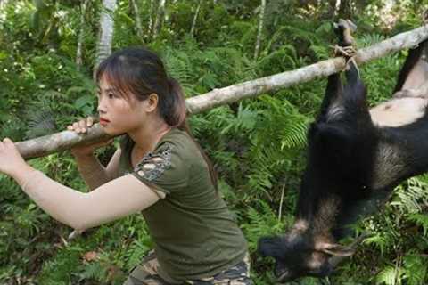 200 days of survival in the wild, setting traps to catch wild goats, wild porcupines, and wild birds