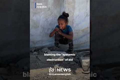People flock to charity kitchen in Gaza as UN declares famine