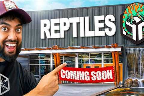 I Finished Building My New Reptile Zoo! For Now