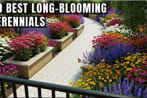 🌼 20 Longest-Blooming Perennial Flowers That Keep Your Garden Alive – Discover &amp; Grow Today! 🌼