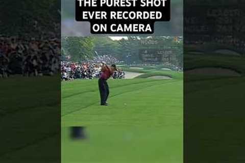 Tiger Woods hits the most pure shot ever recorded on camera