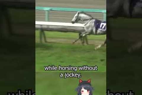 Umamusume Lore You Didn't Know: Silver Sonics Solo Race