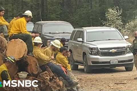 'F---ing crazy': ICE swoops in on firefighters IN THE MIDDLE of battling wildfire