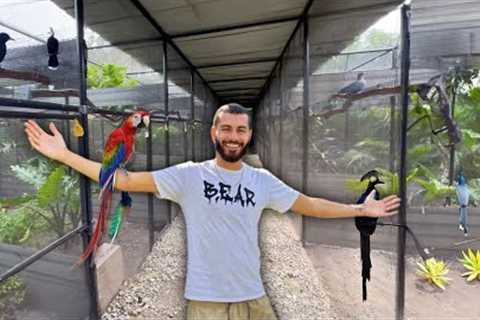 BIGGEST Private BIRD Facility in the USA!!! 