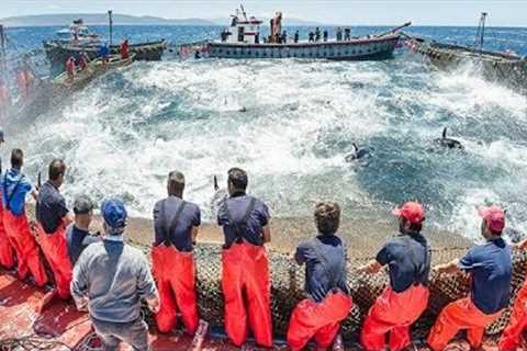 Everyone should watch this Fishermen's video - Big Catch Hundreds Tons Fish With Modern Big Boat