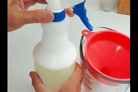 DIY Garden Bugs &amp; Aphids Control Spray