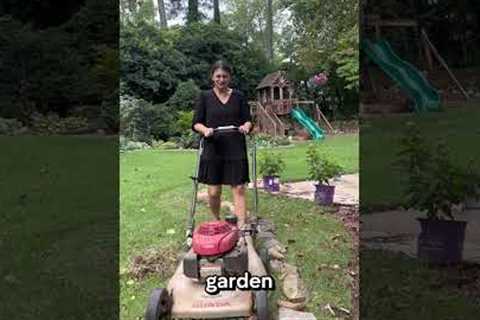 Learn from my garden mistakes — don’t forget to do this before finalizing the shape of your beds 😝
