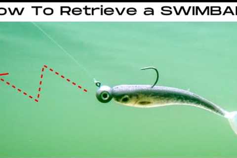 5 SWIMBAIT Retrieves That ALWAYS Get BITES!