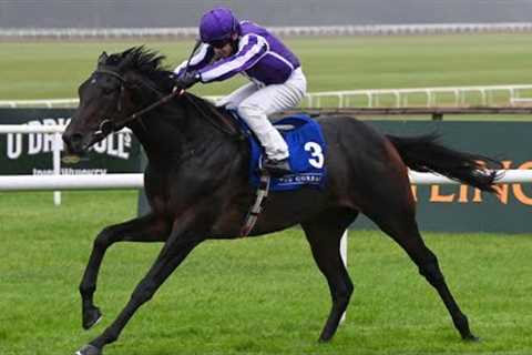 HAWK MOUNTAIN impresses for Ballydoyle
