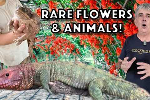 Feeding our Reptiles and Purchasing Rare Flowering Trees.