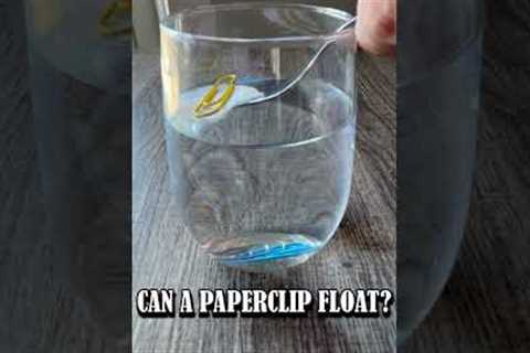 Amazing Paper Clip Floating Experiment! | Easy Science for Kids