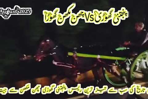 Queen Panjtani Ghori Vs Chan Makhan Horse Race 31 August 2025 || Tanga Race || #horse #horseriding 