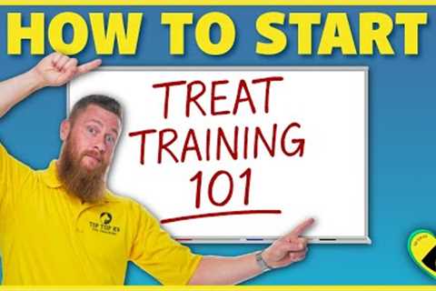 How to Start Trick Training with Your Dog | Treat Training 101
