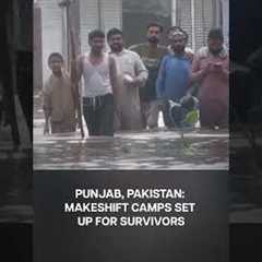 Pakistan Floods: People Wade Through Knee-Deep Water, Camps Set Up for People in Punjab | N18G