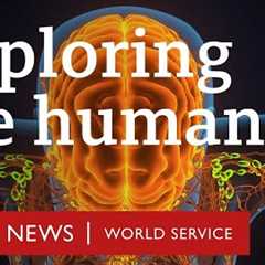 The new medical innovations that could change everything - The Engineers, BBC World Service