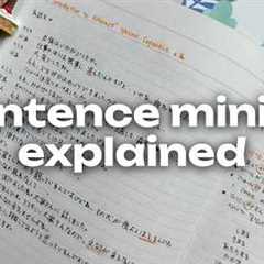 How to learn vocabulary in ANY language with sentence mining!