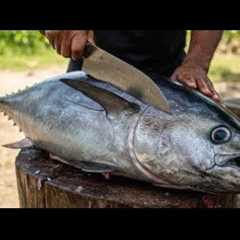 How to Cut Fish Perfectly Every Time – Live