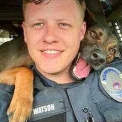 Police Dogs THINK They're Comedians 🐶😂 Funny Dog Videos