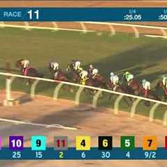 Gold Pheonix (IRE) wins the Del Mar Handicap GII race 11 at Del Mar 8/30/25
