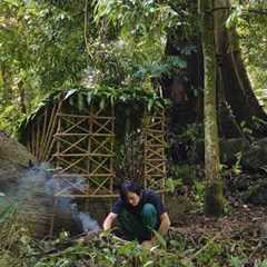 Jungle Survival: 🪓🏹🔥 Building a Shelter on a Fallen Tree  & Setting Wire Traps