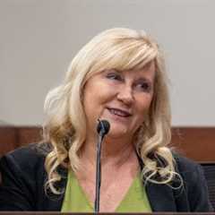 Wendi Adelson's former divorce attorney testifies that divorce with Dan Markel 'not contentious'