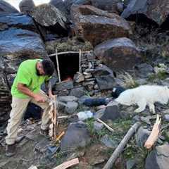 Basic survival skills in the wilderness: building a shelter in mountain | bushcraft skills