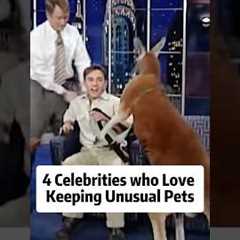 4 Celebrities who Love Keeping Unusual Pets.#actors #celebrities #hollywood #usa #foryou