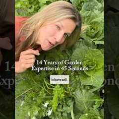 I wish someone had told me these things when I started Gardening👀 #gardentips #garden #plants