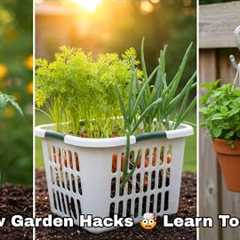 10 Dollar Tree Garden Hacks That Work in 2025 and Beyond