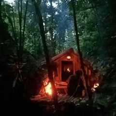 building a survival shelter and hunting in extreme rain, Bushcraft & Campfires