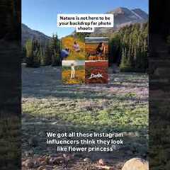 Social Media Influencers Are Destroying Endangered Native Wildflower Habitats - Don’t Doom The Bloom