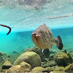 DROPPING A GOPRO UNDERWATER AND FISHING AROUND IT!