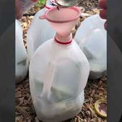 Don't buy fertilizer! Make your own with simple ingredients! #garden #growth #midgesmagic #magic
