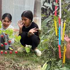 Survival Skills SMART ideas and USEFUL In Forest With Single Mom #survival #outdoors #camping #fyp