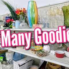 🛍Goodwill has the Goodies! | Thrift with Me + A Cool Vintage Find 2025