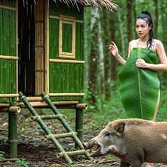 48 Hours of Rainforest Shelter Building – Bamboo House, Survival Skills & Wild Boar Traps