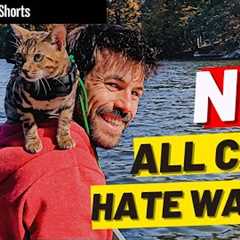 How to Introduce Your Cat to Water #Shorts