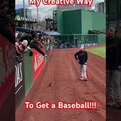 HOMEMADE MLB BASEBALL RETRIEVER ⚾️