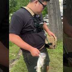 The clear A Rig gets the hogs! #bassfishing