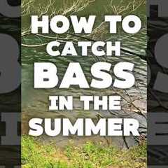 How to Catch More Bass in Summer (Tips + Techniques)