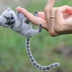 10 Cutest Exotic Animals In The World